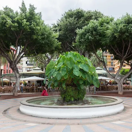 Plaza Del Charco I Daire
